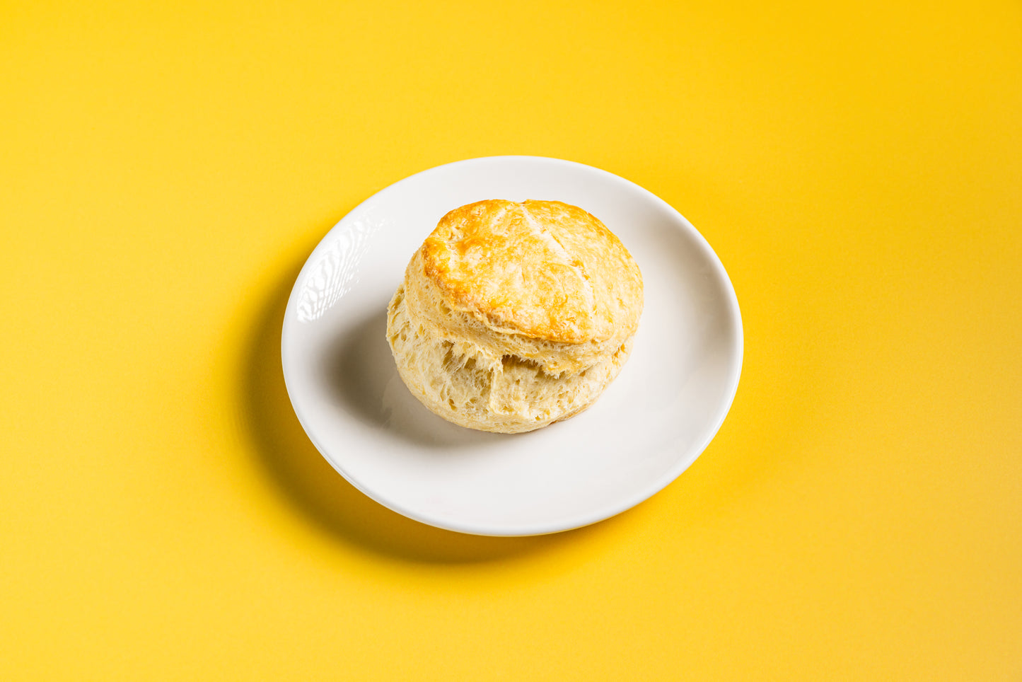 Lucy's Biscuits